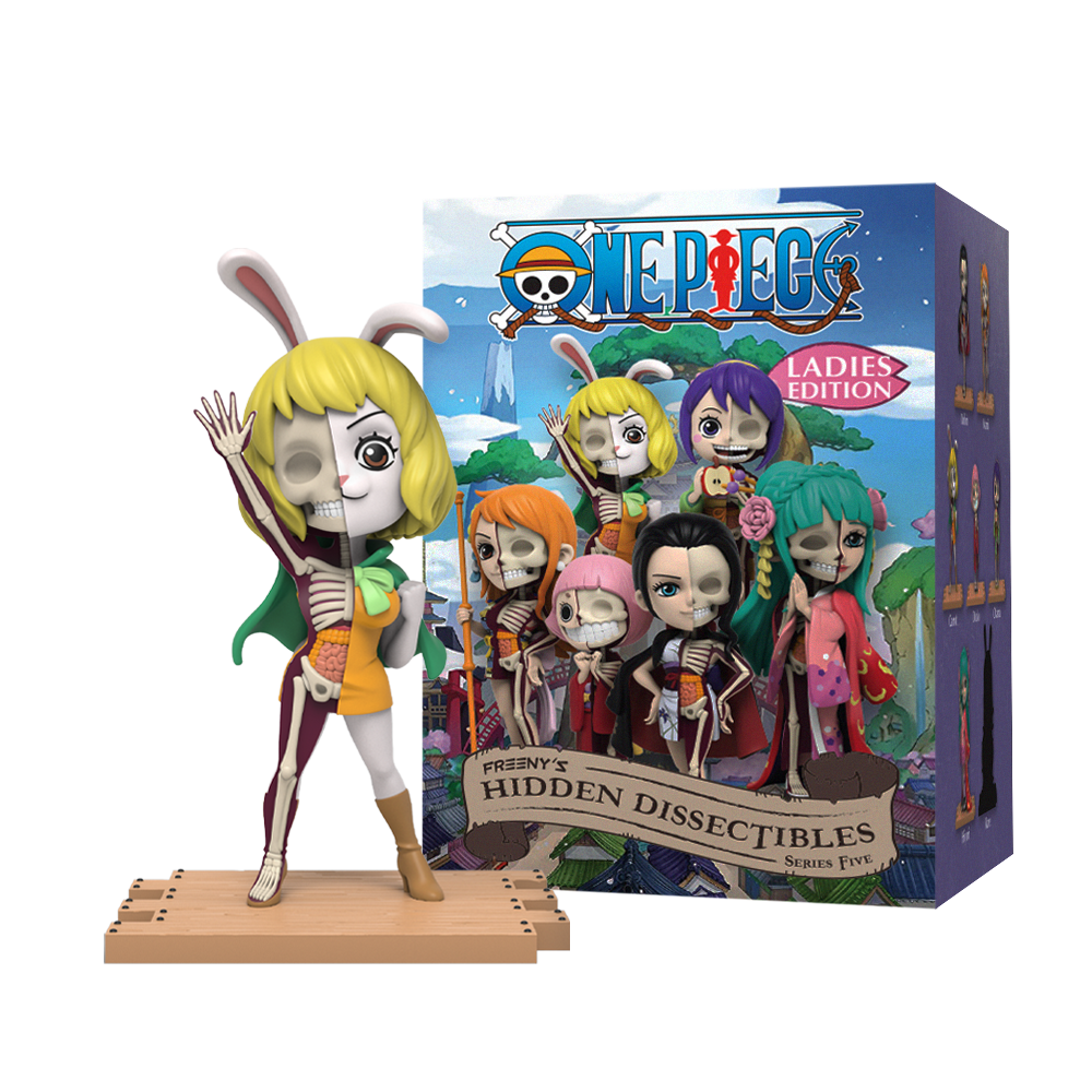 Mighty Jaxx Freeny's Hidden Dissectibles One Piece Series 5 (Ladies) | Blind Box